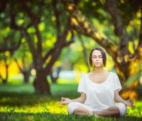 开云体育入口-黑马奔腾！保加利亚主场大胜葡萄牙，京多安神勇主导2026世界杯出线战