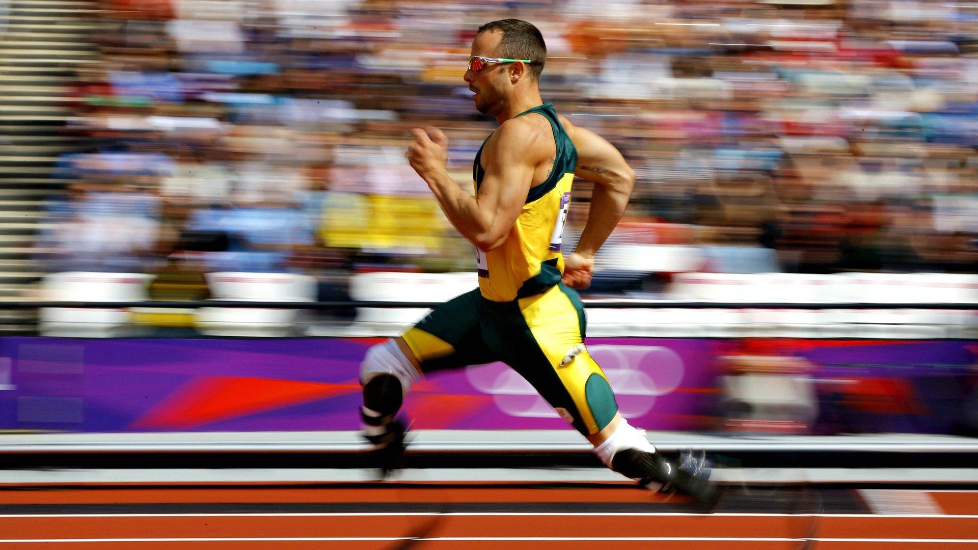 迪马利亚,哥斯达黎加密林中飞出的无解之蝶